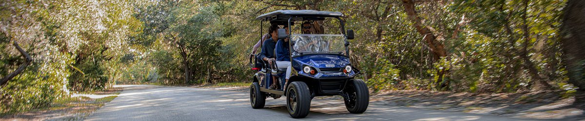 LeisureTIme Golf Cars Service